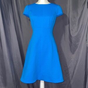 American Living Bright Blue Dress